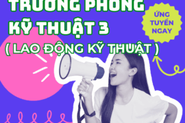 TUYỂN DỤNG TRƯỞNG PHÒNG KỸ THUẬT 3 (  LAO ĐỘNG KỸ THUẬT )